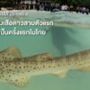 เมื่อต้นเดือนพฤษภาคมที่ผ่านมา-nationwide-geographic-ภาษาไทย-ได