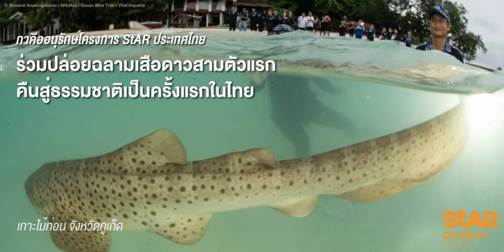 เมื่อต้นเดือนพฤษภาคมที่ผ่านมา-nationwide-geographic-ภาษาไทย-ได