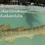 เมื่อต้นเดือนพฤษภาคมที่ผ่านมา-nationwide-geographic-ภาษาไทย-ได