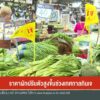 ราคาผักปรับตัวสูงขึ้นช่วงเทศกาลกินเจ-ข่าวใต้แลได้ที่เรา-ข่