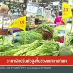 ราคาผักปรับตัวสูงขึ้นช่วงเทศกาลกินเจ-ข่าวใต้แลได้ที่เรา-ข่