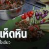 ไปที่จังหวัดกำแพงเพชร-ชาวไทยภูเขาเผ่าปกาเกอะญอ-ยำเห็ดหิน-ที่