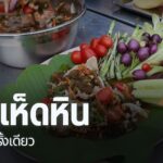 ไปที่จังหวัดกำแพงเพชร-ชาวไทยภูเขาเผ่าปกาเกอะญอ-ยำเห็ดหิน-ที่