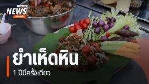 ไปที่จังหวัดกำแพงเพชร-ชาวไทยภูเขาเผ่าปกาเกอะญอ-ยำเห็ดหิน-ที่
