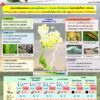 2025-10-22-12:43:00-|-ข่าวสารจากกรุมอุตุนิยมวิทยา