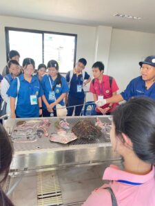 กรมทะเล-นำเยาวชนศึกษาเรียนรู้เรื่องสัตว์ทะเลหายาก-ณ-ศูนย์วิ