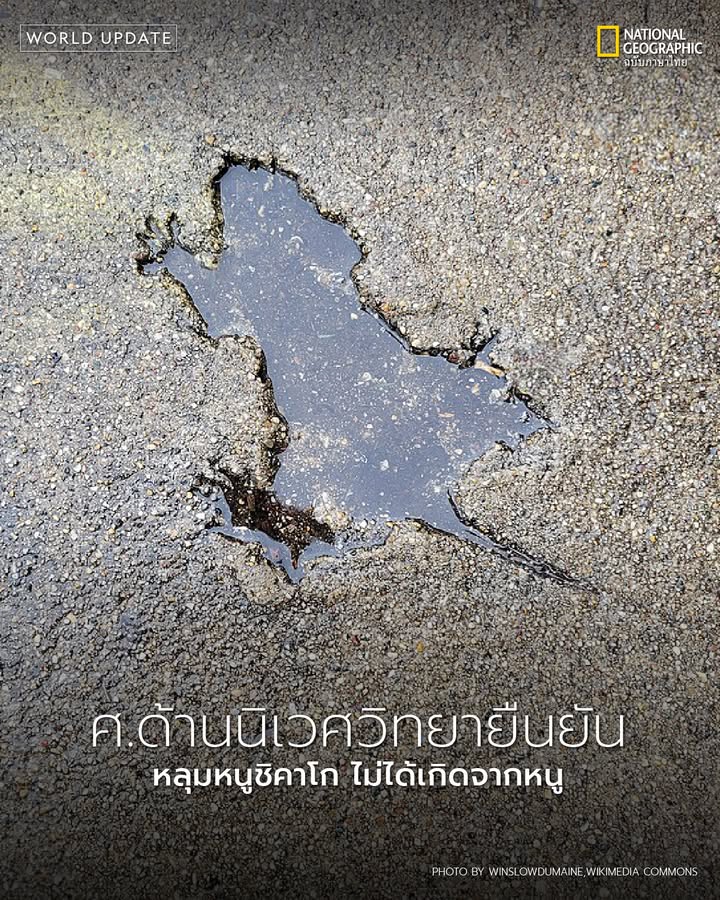 เดือนมกราคม-2024-ชาวชิคาโกได้พบกับสิ่งประหลาดใหม่-มันคือหลุม