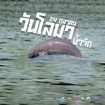 -24-ตุลาคมของทุกปี-เป็น-วันโลมาน้ำจืดแห่งชาติ-วันโลม