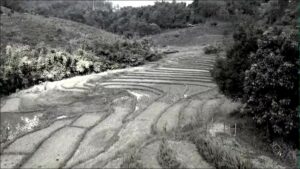 สารคดีพระพันปีหลวง-25-ตค.68-สมเด็จพระนางเจ้าสิริกิติ์-พระบร