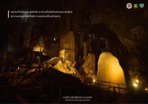 ถ้ำภูผาเพชร-เป็นถ้ำขนาดใหญ่อยู่ใน-เขตรักษาพันธุ์สัตว์ป่าเข