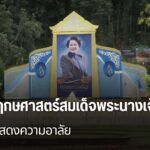 หน่วยงานทั้งภาครัฐและเอกชนในจังหวัดเชียงใหม่-ต่างจัดตกแต่งสถ