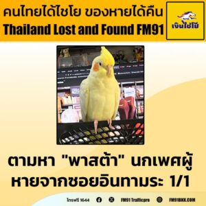 ตามหา-“พาสต้า”-นกค็อกคาเทล-เพศผู้-คุณ-jureerat-ฝากตามหา-“พาส-|-2025-10-26-14:34:00