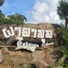 ชมผืนป่าเขียวขจี-180-องศา-บน-จุดชมวิวผาตามุม-เขตรักษาพันธุ