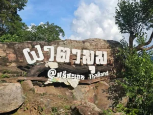 ชมผืนป่าเขียวขจี-180-องศา-บน-จุดชมวิวผาตามุม-เขตรักษาพันธุ