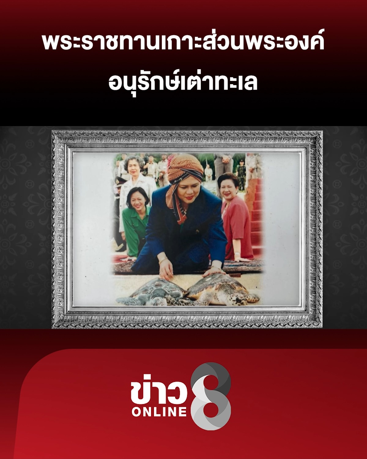 พระราชทานเกาะส่วนพระองค์-อนุรักษ์เต่าทะเล-|-ลุยชนข่าว-ออนไลน์-|-27-ต.ค