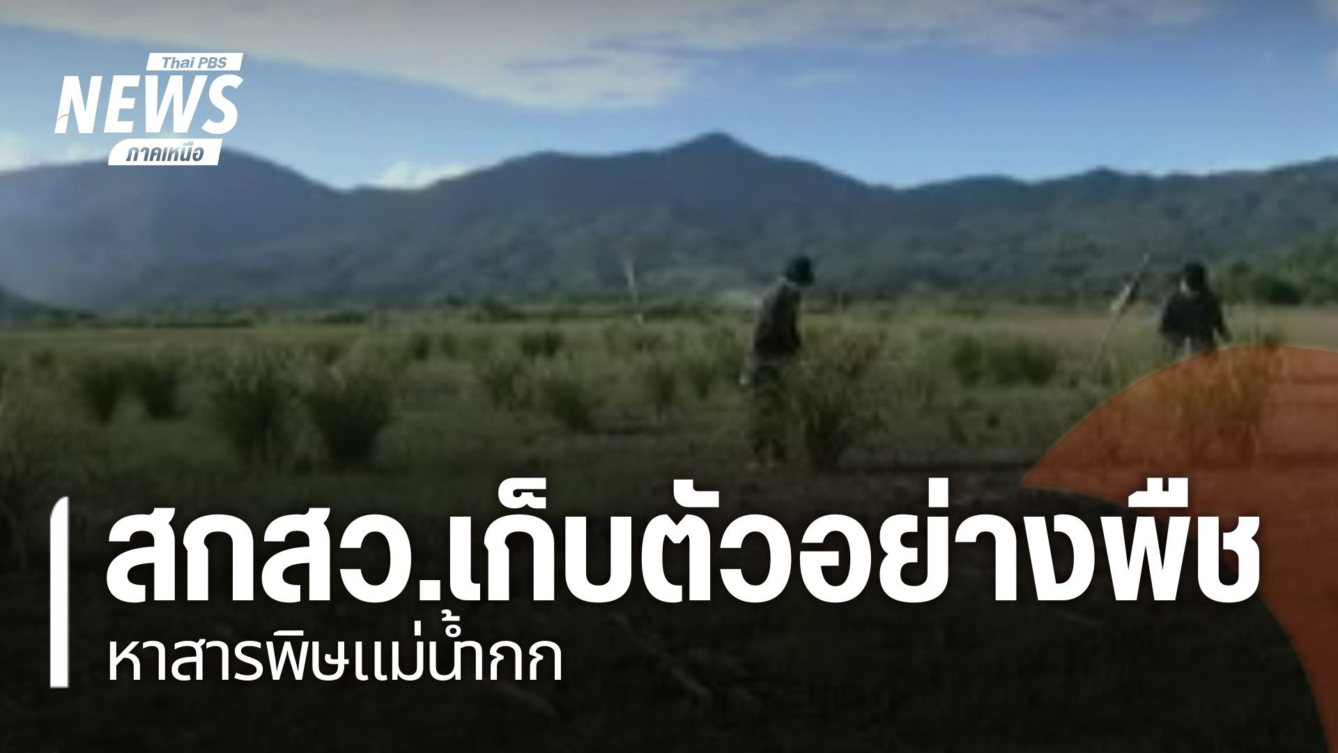 ปัญหาสารพิษในแม่น้ำกกและแม่น้ำสายต่างๆในจังหวัดเชียงรายที่ไห