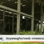 วิกฤตเศรษฐกิจปากพนัง-จากผลพวง-iuu-ข่าวใต้แลได้ที่เรา-#thaip