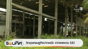 วิกฤตเศรษฐกิจปากพนัง-จากผลพวง-iuu-ข่าวใต้แลได้ที่เรา-#thaip