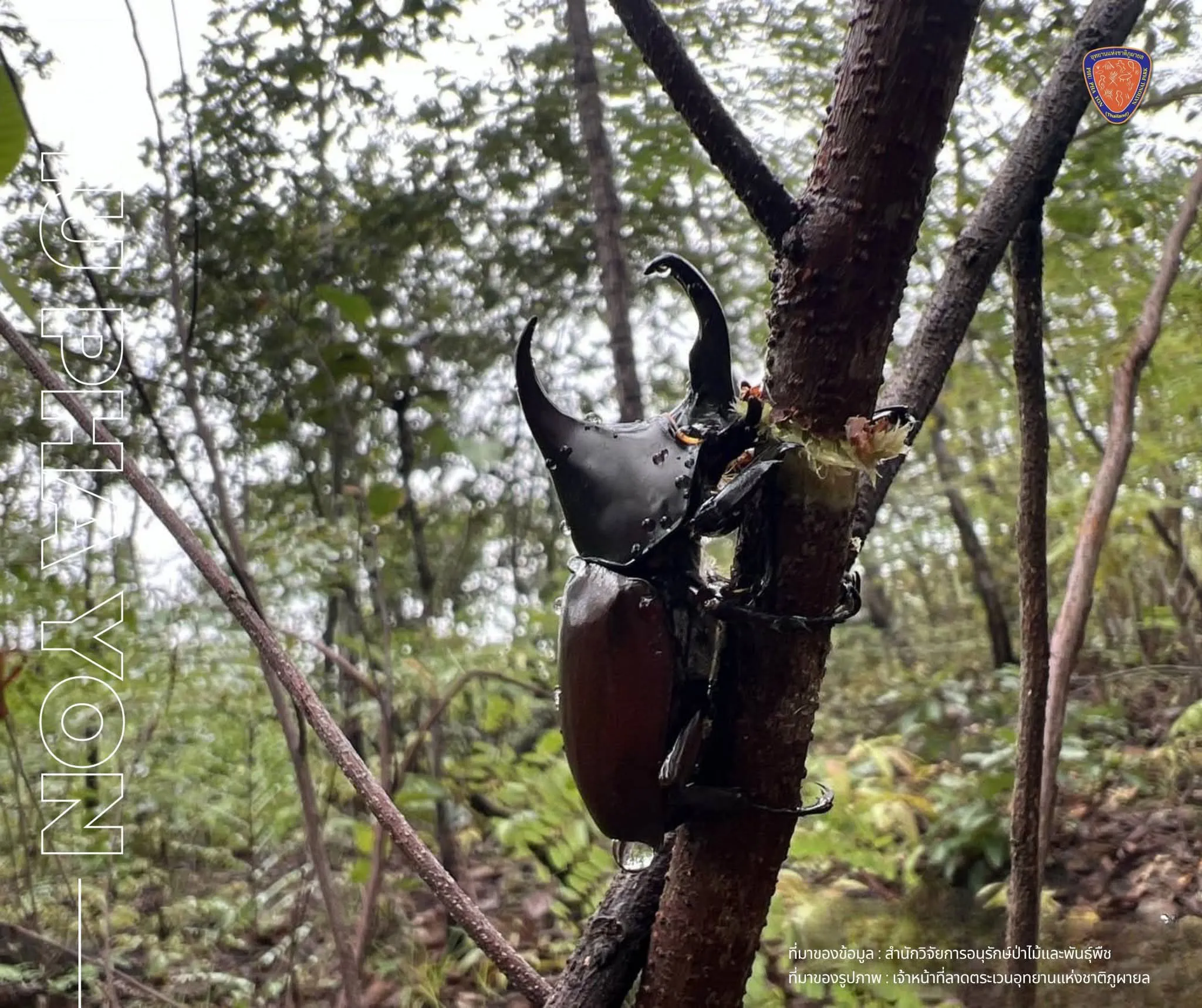 “น้ำตกตำหนัง”-อุทยานแห่งชาติศรีพังงา-จังหวัดพังงา-เป็นน้ำตกขนาดให