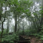 1-พฤศจิกายนนี้-“กิ่วแม่ปาน”-เตรียมพร้อมต้อนรับนักท่องเที่ยว