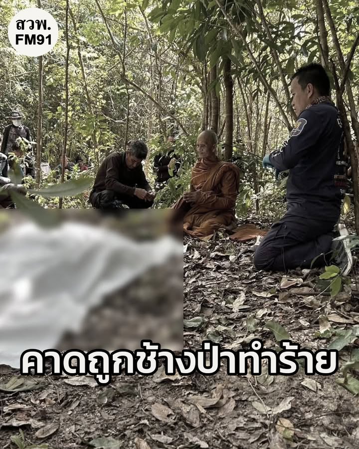 ชาวบ้านหายตัวไป-3-วัน-ก่อนมาพบว่าเสียชีวิต-คาดว่า-ออกมาหาของ-|-2025-10-29-18:00:00
