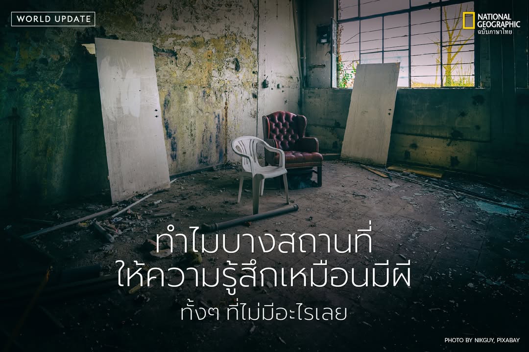 บ้าน-โรงแรม-หรืออาคารเก่ามักเป็นพื้นที่ที่เราคิดว่าปลอดภัย-แ