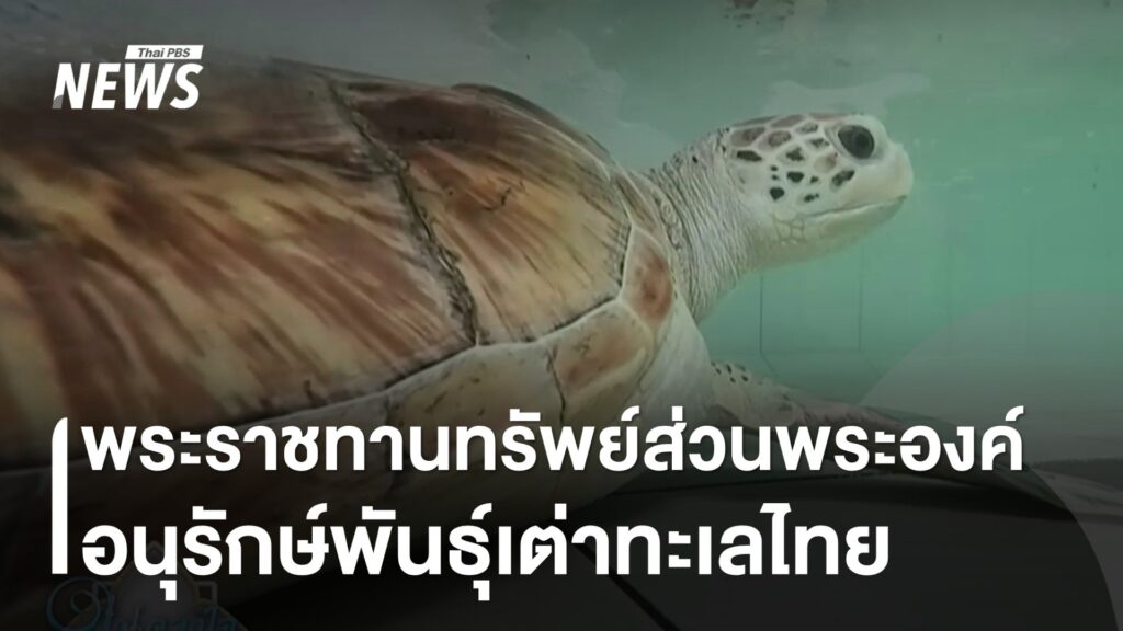 -เรื่องราวดีๆ-ที่เรายังไม่รู้…-ð«
ð¼สมเด็จพระบรมราชชนนีพันปีห