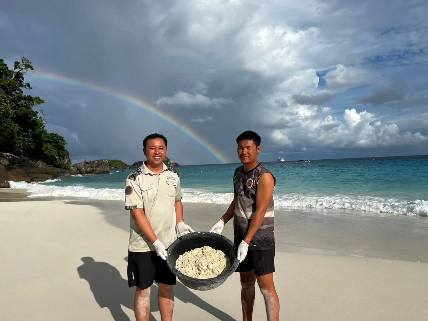 แม่สายรุ้ง-เต่าตนุ-ขึ้นวางไข่-82-ฟอง-บริเวณหาดเล็ก-เกาะสี่