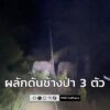 อุทยานแห่งชาติสันกาลาคีรี-เฝ้าระวังและผลักดันช้างป่า-3-ตัว-บ-|-2025-11-01-20:14:00