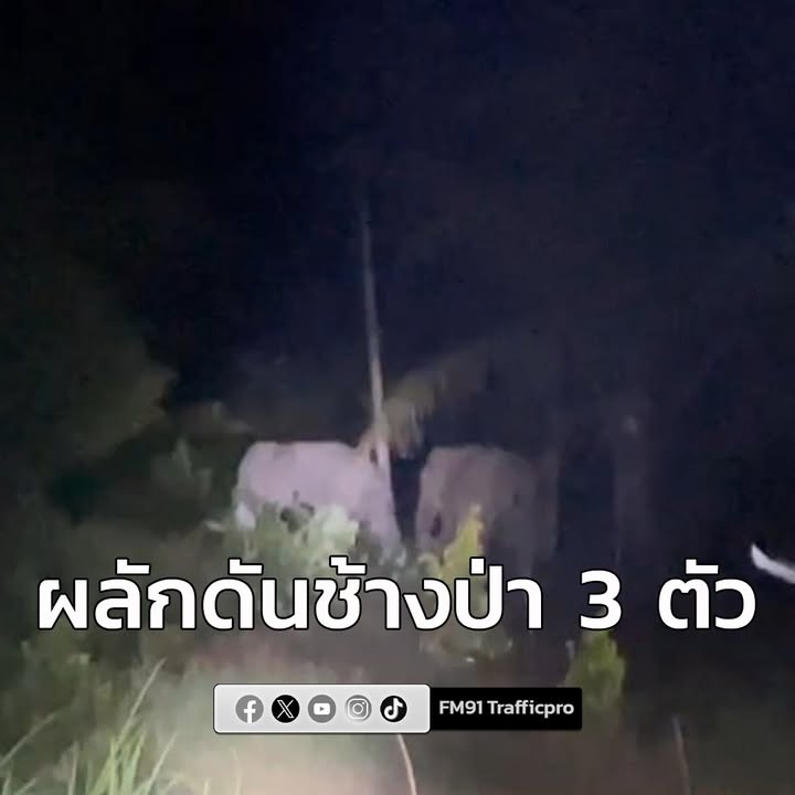 อุทยานแห่งชาติสันกาลาคีรี-เฝ้าระวังและผลักดันช้างป่า-3-ตัว-บ-|-2025-11-01-20:14:00