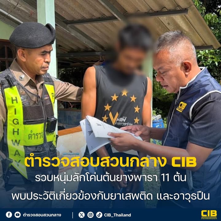 รวบหนุ่มลักโค่นต้นยางพารา-11-ต้น-พบประวัติเกี่ยวข้องกับยาเสพ