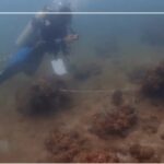 ศูนย์วิจัยทรัพยากรทางทะเลและชายฝั่งอ่าวไทยฝั่งตะวันออก-(ศวท