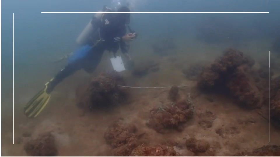 ศูนย์วิจัยทรัพยากรทางทะเลและชายฝั่งอ่าวไทยฝั่งตะวันออก-(ศวท