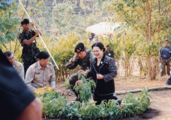 “ต้นพีช-ทรงปลูก”-วันที่-๒๔-เมษายน-๒๕๔๔-สมเด็จพระนางเจ้าสิริก