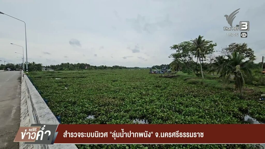 สำรวจระบบนิเวศ-”-ลุ่มน้ำปากพนัง”-จ.นครศรีธรรมราช-ข่าวใต้แลไ