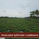 สำรวจระบบนิเวศ-”-ลุ่มน้ำปากพนัง”-จ.นครศรีธรรมราช-ข่าวใต้แลไ