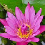 สวัสดีวันอังคาร-พุทธอุทาน-จิตของใครตั้งมั่น-ไม่กังวลไห-|-2025-11-04-01:09:00