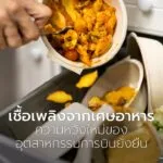 ทีมนักวิทยาศาสตร์จากมหาวิทยาลัยอิลลินอยส์-เออร์บานา–แชมเพน-ค