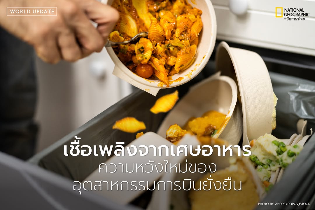 ทีมนักวิทยาศาสตร์จากมหาวิทยาลัยอิลลินอยส์-เออร์บานา–แชมเพน-ค