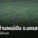 เจ้าหน้าที่อุทยานแห่งชาติแม่วงก์-และ-ชาวบ้านในตำบลแม่เปิน-อำ