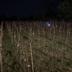 stay-สุดไวรัล-เเข่งขันประชันเสียงตั๊กเเตน-ชายเเดนภาคใต้-ณ