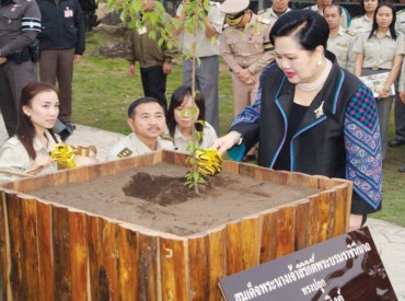 “ต้นชมพูภูพิงค์ทรงปลูก”-วันที่-๙-กุมภาพันธ์-๒๕๔๙-สมเด็จพระนา