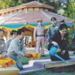 “ต้นพญาไม้ทรงปลูก”-วันที่-๗-กุมภาพันธ์-๒๕๔๘-สมเด็จพระนางเจ้า