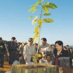 “ต้นจําปีหลวงทรงปลูก”-วันที่-๑๙-มกราคม-๒๕๔๙-สมเด็จพระนางเจ้า