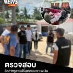 วานนี้(6-พย.68)-เจ้าหน้าที่ตำรวจและฝ่ายปกครองเกาะพะงัน-สนธิ