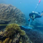 “อ่าวสุเทพ”-ยังอุดมสมบูรณ์-อุทยานแห่งชาติหมู่เกาะสุรินทร์