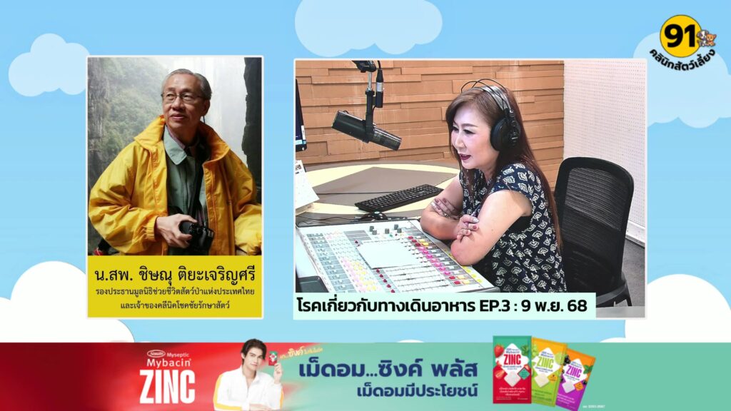 fm91-คลินิกสัตว์เลี้ยง-:-dj-ขนิษฐา-ตระการไพโรจน์-ทุกวันเสาร์-|-2025-11-09-06:32:00