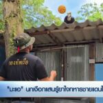 “มะแอ”-นกเงือกแสนรู้ยาใจทหารชายแดนใต้-ข่าวใต้แลได้ที่เรา-ข