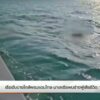 เรืออับปางใกล้พรมแดนไทย-มาเลเซียพบร่างผู้เสียชีวิต-11-คนข่า