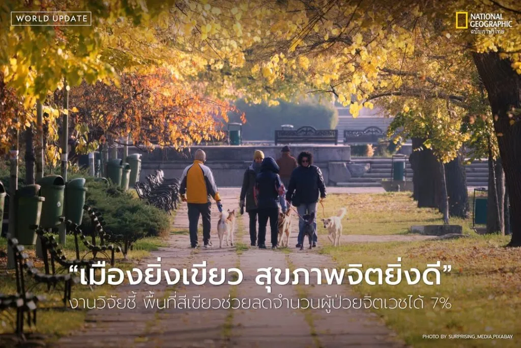 พื้นที่สีเขียวไม่ได้แค่ทำให้เมืองน่าอยู่ขึ้น-แต่ยังอาจช่วยป